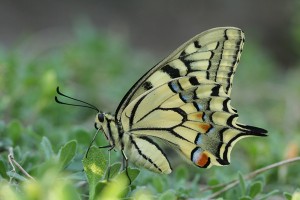 「虫の目」で会社の数字を細かく見る