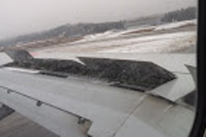 akita-seminar1-fig02