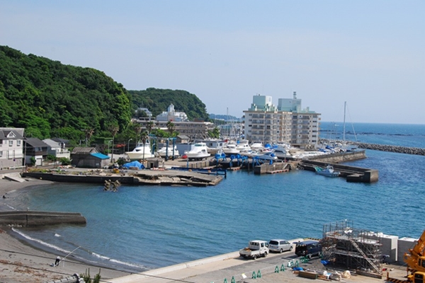 朝獲れの魚が揚がる「秋谷漁港」。