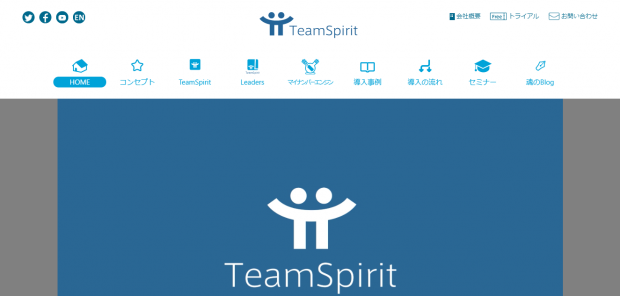 teamsprit