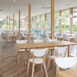 naturalmodan_250x250