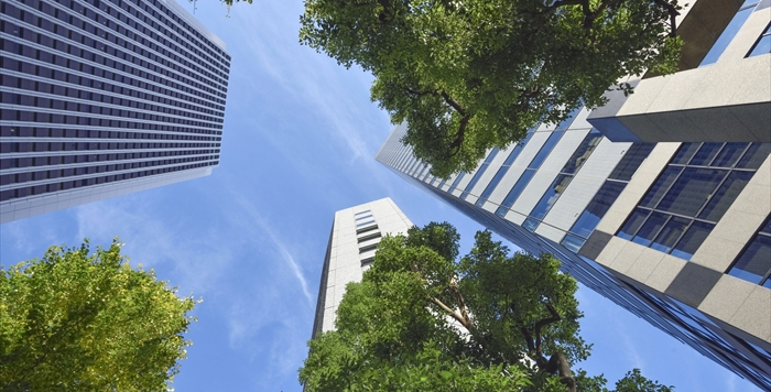 法人の意味とは?種類や個人事業主との違いについて解説