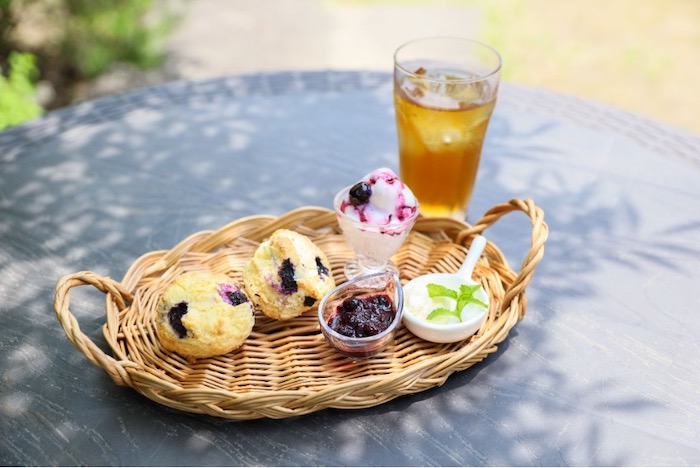 ブルーベリー観光農園の始め方